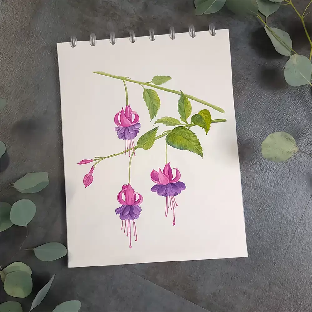 Fuchsia pink watercolor floral painting