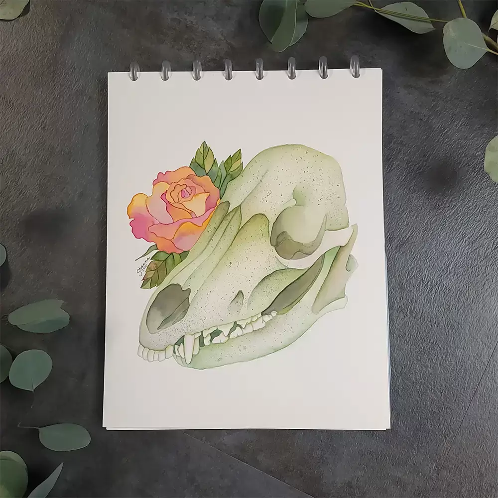 Rose and skull watercolor painting